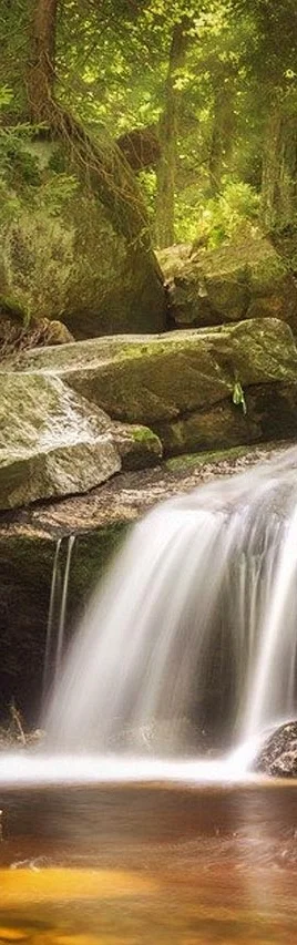 Wasserfall Bild